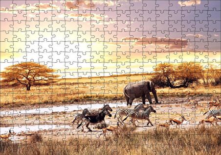 Cakapuzzle  Savanada Filler Zebralar ve Antiloplar Puzzle Yapboz MDF Ahşap