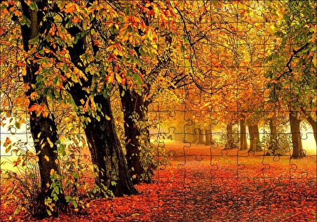 Cakapuzzle  Sonbahar Orman Yolu ve Yapraklar Puzzle Yapboz MDF Ahşap