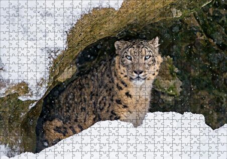 Cakapuzzle  Mağara Ağzında Kar Leoparı Puzzle Yapboz MDF Ahşap