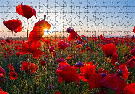 Cakapuzzle  Gündoğumu Çayırda Kırmızı Gelincikler Puzzle Yapboz MDF Ahşap