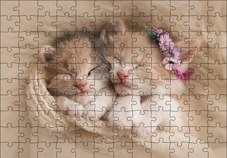 Cakapuzzle  Birlikte Uyuyan Sevimli Yavru Kediler Puzzle Yapboz MDF Ahşap