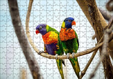 Cakapuzzle  Daldaki Papağan Çift Puzzle Yapboz MDF Ahşap
