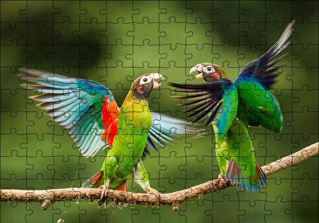 Cakapuzzle  Sevda Papağanları Puzzle Yapboz MDF Ahşap