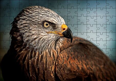 Cakapuzzle  Kahverengi Doğan Kuşu Puzzle Yapboz MDF Ahşap