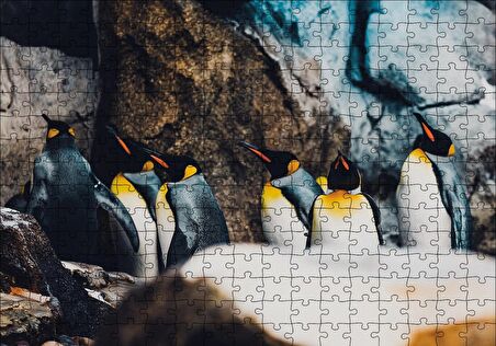 Cakapuzzle  Kral Penguenleri Puzzle Yapboz MDF Ahşap