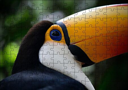 Cakapuzzle  Muhteşem Renkleriyle Tukan Kuşu Puzzle Yapboz MDF Ahşap