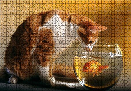 Cakapuzzle  Fanustaki Balık ve İzleyen Kedi Puzzle Yapboz MDF Ahşap