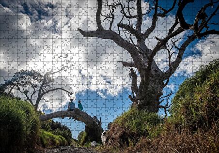 Cakapuzzle  Bulutlar Kuru Ağaç ve Dalındaki Çift Puzzle Yapboz MDF Ahşap