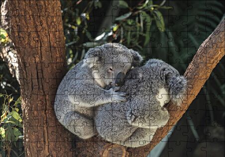 Cakapuzzle  Dalda Koala Kardeşliği Puzzle Yapboz MDF Ahşap