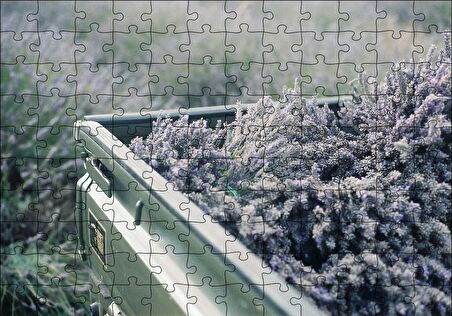 Cakapuzzle  Kasada Lavantalar Puzzle Yapboz MDF Ahşap