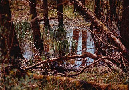 Cakapuzzle  Orman ve Su Bir Arada Puzzle Yapboz MDF Ahşap