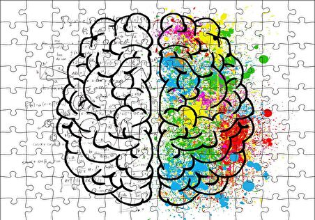 Cakapuzzle  Beyin Kıvrımları Sanat ve Bilim Puzzle Yapboz MDF Ahşap