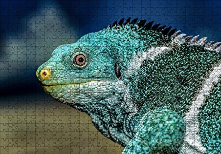 Cakapuzzle  Dev Kertenkele Puzzle Yapboz MDF Ahşap