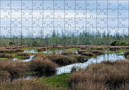 Cakapuzzle  Sazlıklar ve Su Kenarında Otlar Puzzle Yapboz MDF Ahşap