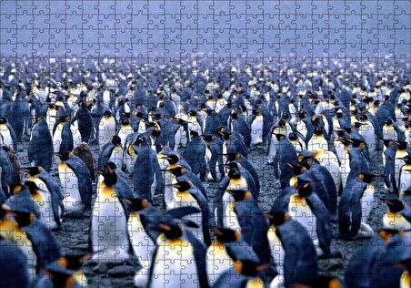 Cakapuzzle  İmparator Penguenleri Mahşer Kalabalığı Puzzle Yapboz MDF Ahşap