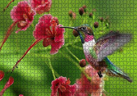 Cakapuzzle  Kırmızı Çiçekler ve Sinek Kuşu Puzzle Yapboz MDF Ahşap
