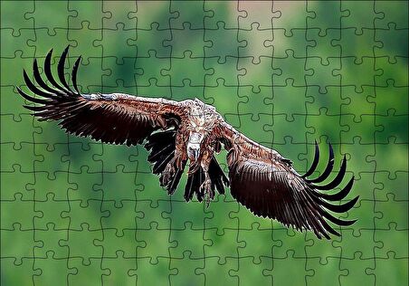 Cakapuzzle  Süzülen Dev Akbaba Puzzle Yapboz MDF Ahşap