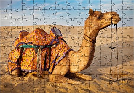 Cakapuzzle  Çöl Kumlarına Çökmüş Deve Puzzle Yapboz MDF Ahşap