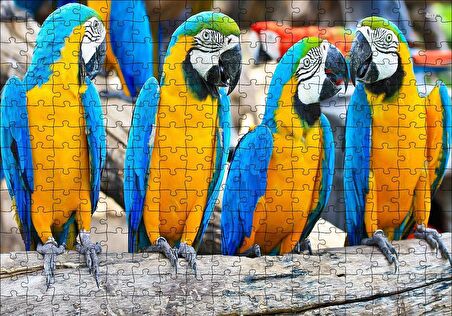 Cakapuzzle  Daldaki Sarı Mavi Macaw Papağanları Puzzle Yapboz MDF Ahşap