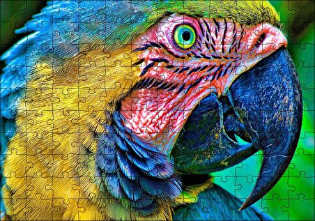 Cakapuzzle  Macaw Papağanı Rengarenk Başı Yakın Plan Puzzle Yapboz MDF Ahşap