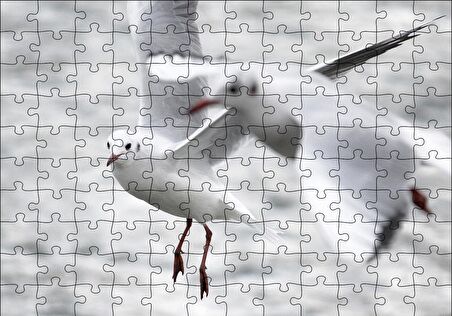 Cakapuzzle  Deniz ve Martılar Puzzle Yapboz MDF Ahşap