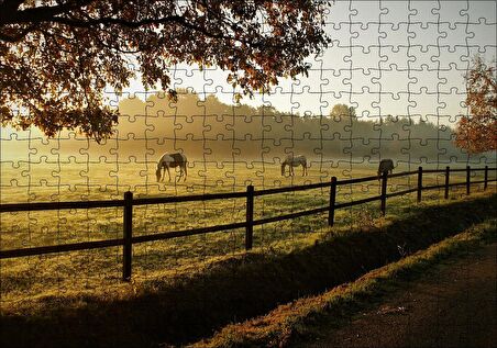 Cakapuzzle  Gündoğumunda Sisler ve Otlayan Atlar Puzzle Yapboz MDF Ahşap