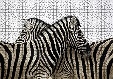 Cakapuzzle  Yanyana Bir Çift Zebra Puzzle Yapboz MDF Ahşap