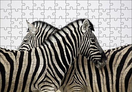 Cakapuzzle  Yanyana Bir Çift Zebra Puzzle Yapboz MDF Ahşap