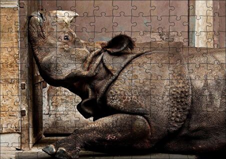 Cakapuzzle  Hint Gergedanı Puzzle Yapboz MDF Ahşap