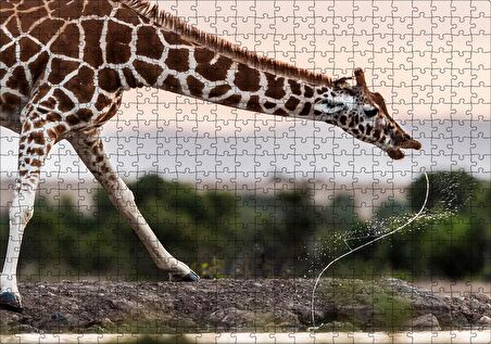 Cakapuzzle  Su İçen Zurafa Puzzle Yapboz MDF Ahşap
