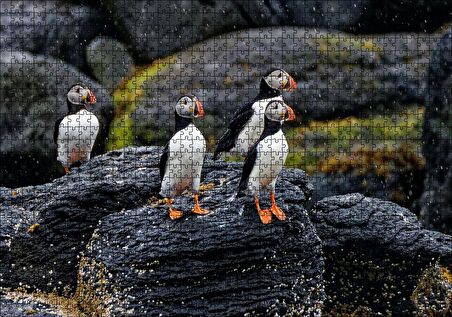 Cakapuzzle  Puffin Bird Beak Rock Puzzle Yapboz MDF Ahşap