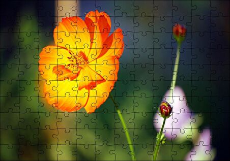 Cakapuzzle  Yabani Portakal Çiçeği Puzzle Yapboz MDF Ahşap