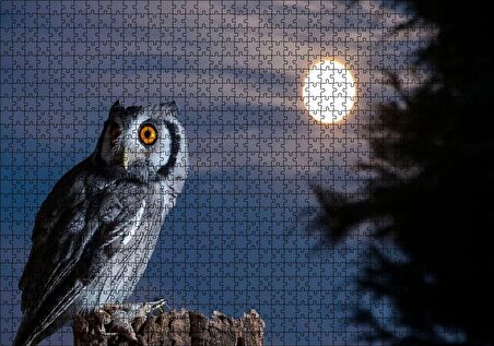 Cakapuzzle  Dolunay ve Kütüğün Üzerindeki Baykuş Puzzle Yapboz MDF Ahşap