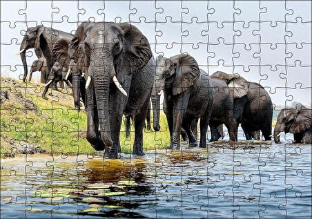 Cakapuzzle  Nehir Kenarında Filler Puzzle Yapboz MDF Ahşap