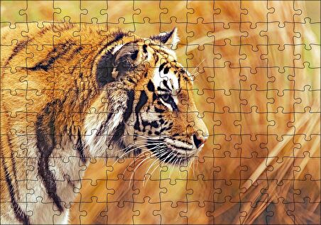 Cakapuzzle  Sarı Otların Arasındaki Kaplan Puzzle Yapboz MDF Ahşap