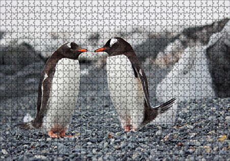 Cakapuzzle  Sevimli Penguenler ve Çakıl Taşları Puzzle Yapboz MDF Ahşap