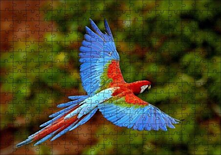 Cakapuzzle  Mavi Turuncu Renkli Uçan Papağan Puzzle Yapboz MDF Ahşap