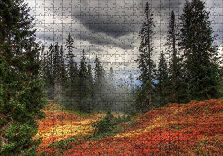 Cakapuzzle  Orman Kara Bulutlar Turuncu Çiçekler Puzzle Yapboz MDF Ahşap