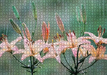 Cakapuzzle  Yağmur Ve Zambak Yaprakları Puzzle Yapboz MDF Ahşap