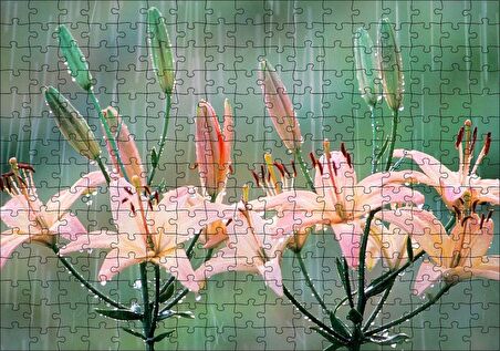 Cakapuzzle  Yağmur Ve Zambak Yaprakları Puzzle Yapboz MDF Ahşap