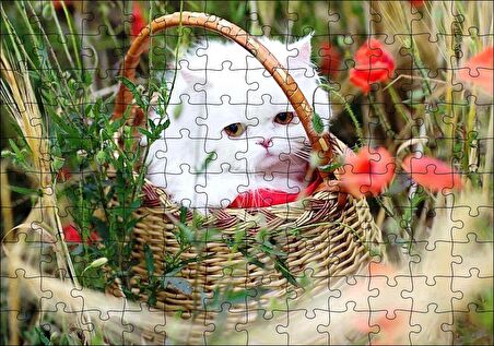 Cakapuzzle  Beyaz Kedi Sepet İçinde Doğada Puzzle Yapboz MDF Ahşap
