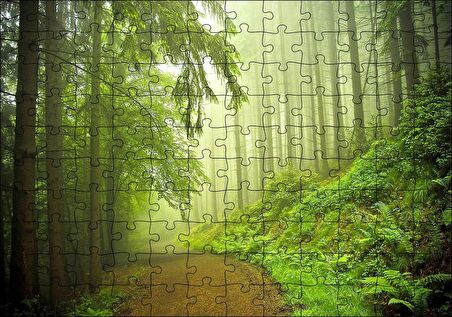 Cakapuzzle  Orman Yolu Puslu Puzzle Yapboz MDF Ahşap