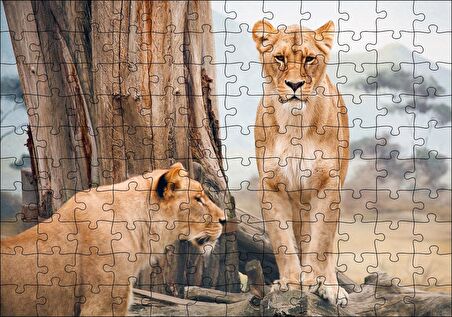 Cakapuzzle  Afrika Savanında Dişi Aslan Görseli Puzzle Yapboz MDF Ahşap
