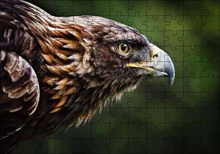 Cakapuzzle  Kahverengi Kartal Keskin Bakışlar Puzzle Yapboz MDF Ahşap
