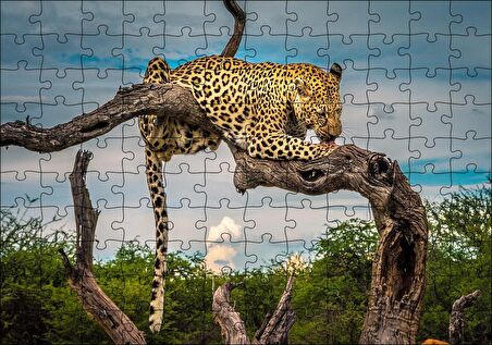 Cakapuzzle  Kuru Dal Üzerinde Yalanan Leopar Görseli Puzzle Yapboz MDF Ahşap