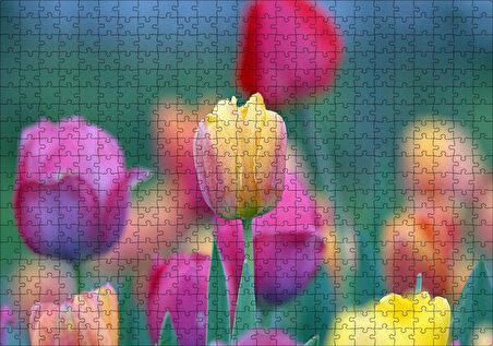 Cakapuzzle  Baharda Renkli Laleler Görseli Puzzle Yapboz MDF Ahşap