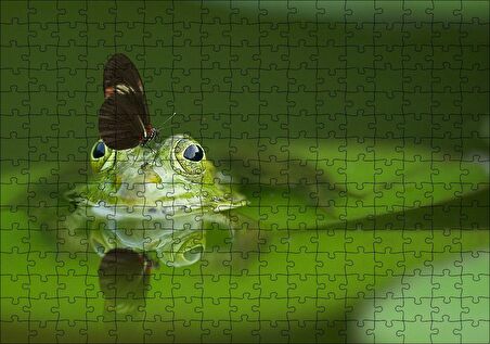 Cakapuzzle  Göldeki Yeşil Kurbağa ve Üzerindeki Kelebek Puzzle Yapboz MDF Ahşap