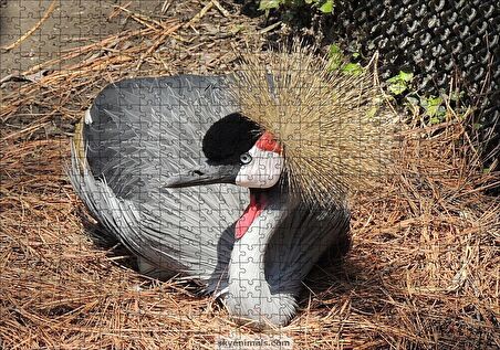 Cakapuzzle  Kuru Otlarda Oturan Siyah Tepeli Gri Kuş Puzzle Yapboz MDF Ahşap