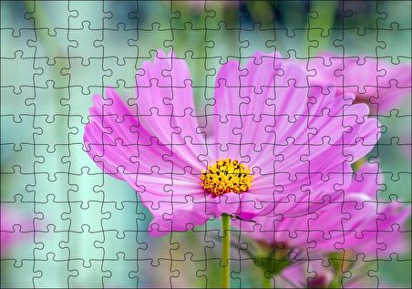 Cakapuzzle  Mor Kosmeya Çiçekler Görseli Puzzle Yapboz MDF Ahşap
