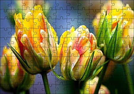 Cakapuzzle  Sarı Yeşil Çiçekler Yakın Plan Puzzle Yapboz MDF Ahşap